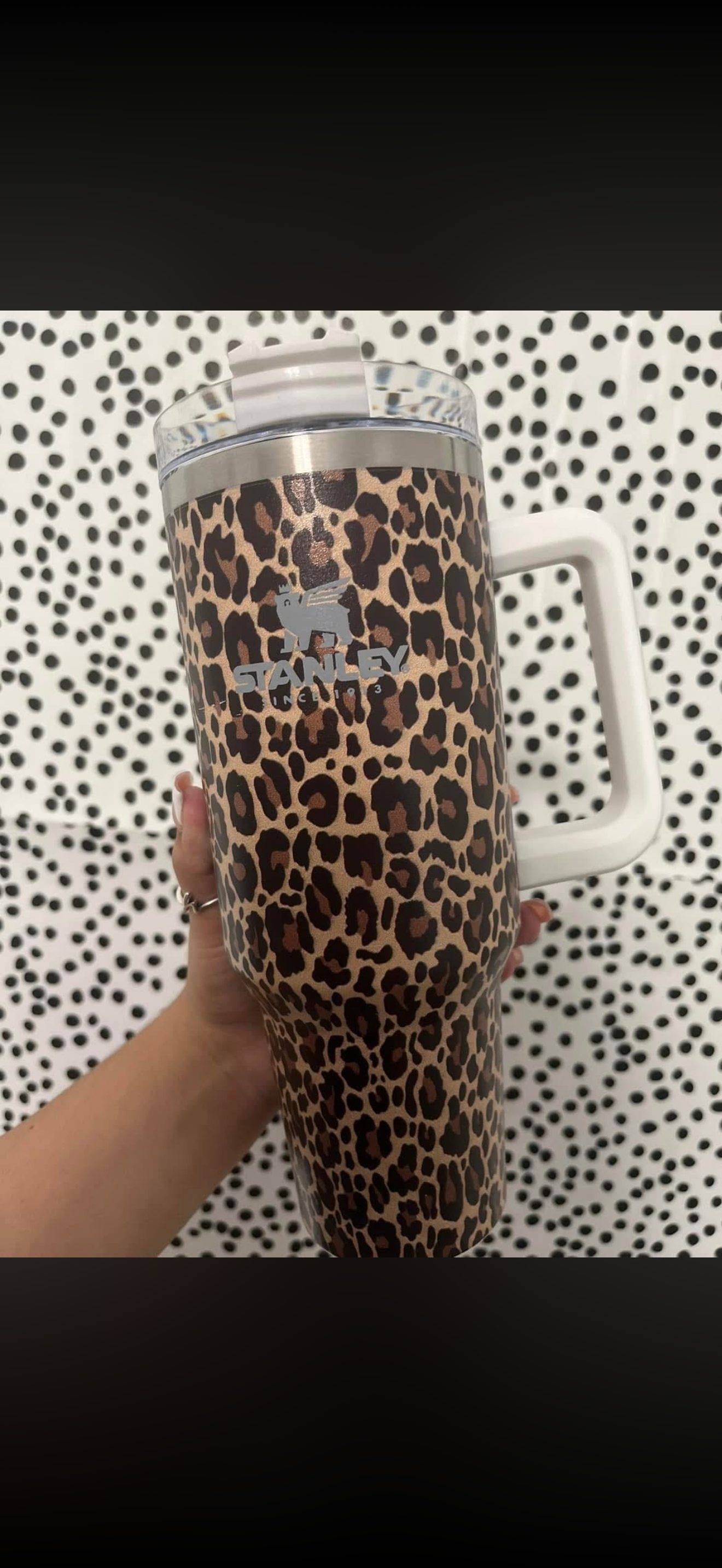 Cheetah Stanley 🤎🐆